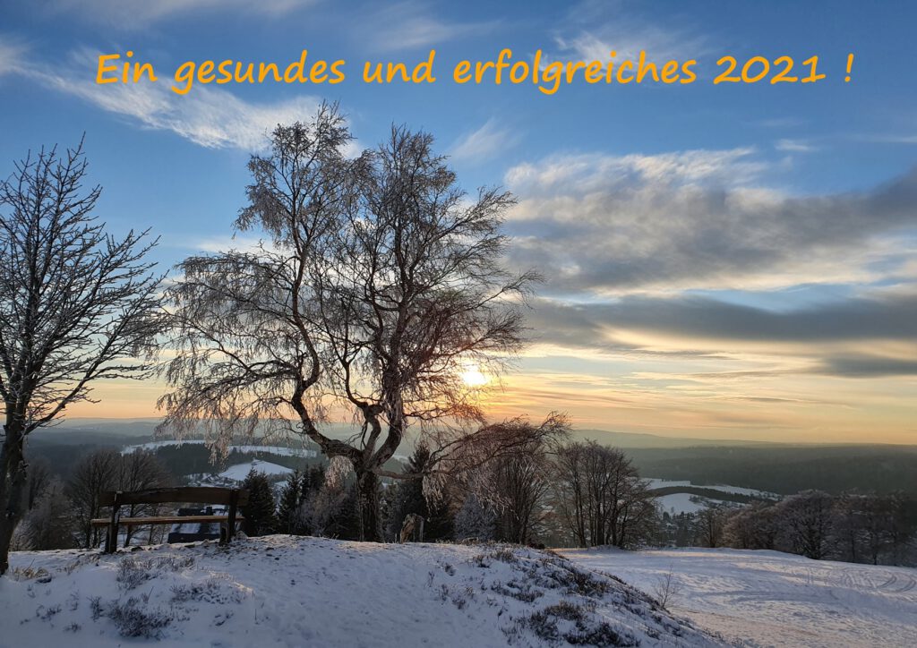 Hallo 2021 - preisgünstige Ideen für den Spielplatz: Balancierparcours aus Robinie